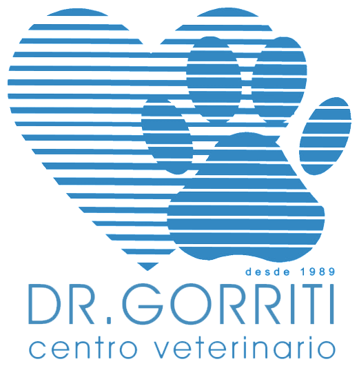 veterinario